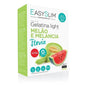 Farmodiética Easyslim Gelatina Light Melão/Melan Stev Saq x2